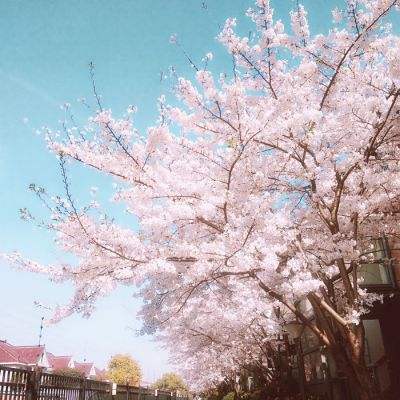 今年全国商务系统将推进提振消费专项行动