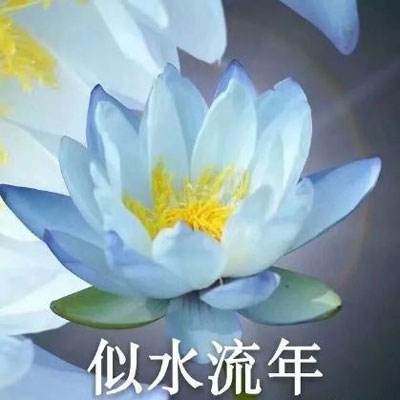 设计仿真 | 海克斯康 MSC Nastra...