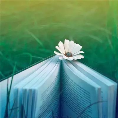 一路繁花圈粉无数：终于明白刘晓庆为啥是刘晓庆