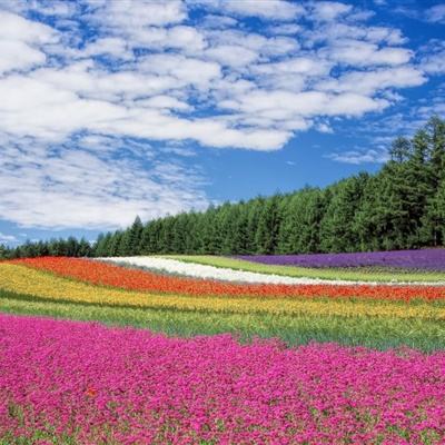 1030场 上海大剧院文旅商体展融合策划赋能消费