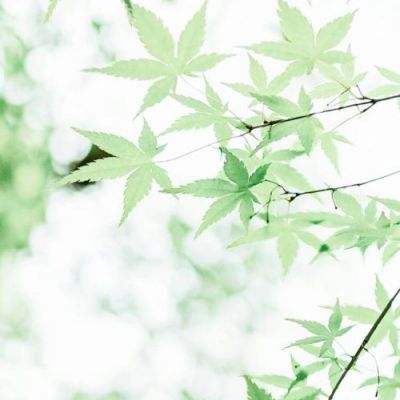 商务部回应对军民两用物项出口管制:目的是维护国家安全