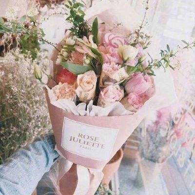 春节宠物寄养咨询火爆 宠物主人盼携宠便捷出行