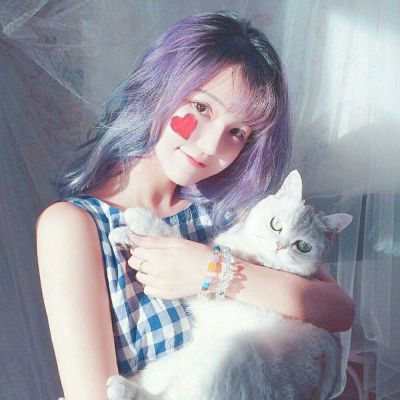 西藏震后安置正在加紧进行