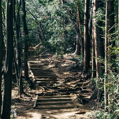 立邦获2024新质生产力影响力企业，以数智化驱动供应链高质量发展