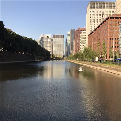 俄总统助理：乌克兰问题谈判应在俄美间进行 无需其他西方国家参与