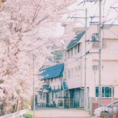 是時候在美國全面禁用黏鼠板了嗎? - 國家地理雜誌官方網站|探索自然、科學與文化的最佳權