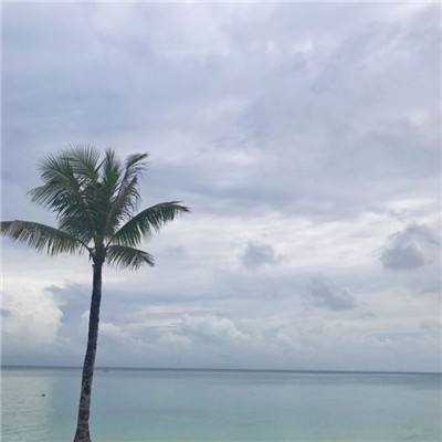 多了一组闺蜜CP
