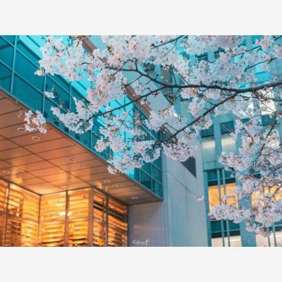 我国中医药科技创新成果丰硕