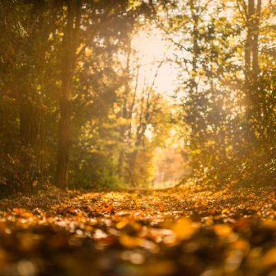 我国外贸进出口规模再创新高 同比增长5%