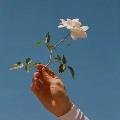 进一步加强自身建设更好发挥桥梁纽带作用 努力开创法学会事业发展新局面