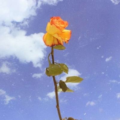 蝙蝠新发现或可帮助人类太空冬眠