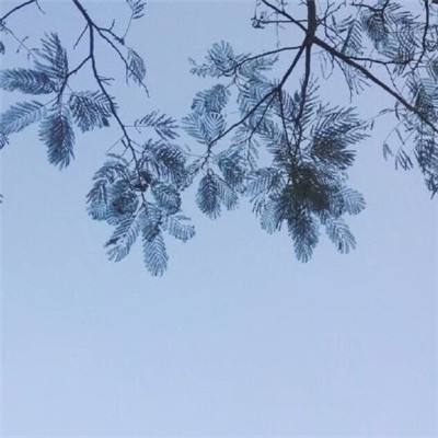“我是共产党员，我不能让国家养着，要为人民做点事……”