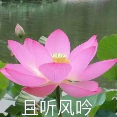 中国移动开展公益守护行动推进“数字惠民”