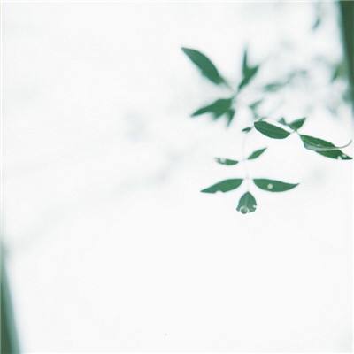 莫兰特丢关键罚球 格林42分火箭逆转险胜灰熊