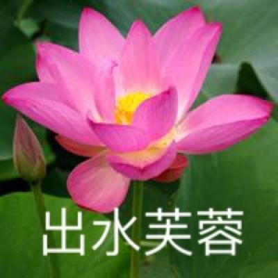 尹锡悦命运决战将至 韩国宪法法院周二启动弹劾审判