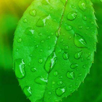 水蜜桃一三四专区