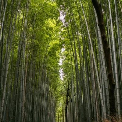 中国太保携手科大讯飞迈向智慧养老新征程