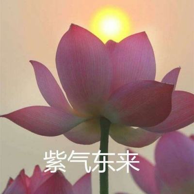 科学大模型:“上线”之路还有多远