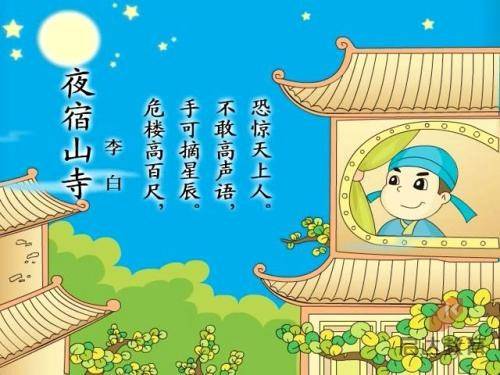 作为社工，我参与的一场诱捕